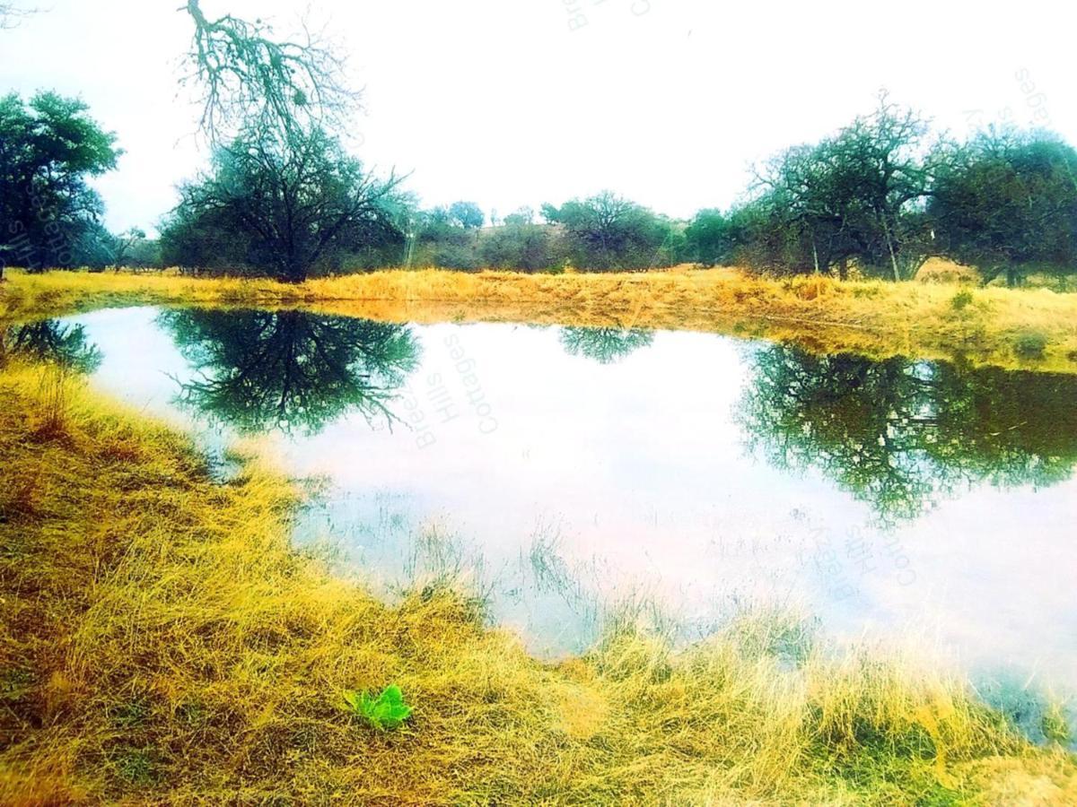 Teich Hutte Pond Cottage Rocky Hill Bagian luar foto